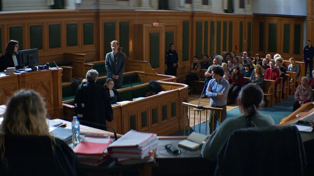 Giải Phẫu Một Cú Ngã: Hôn nhân như một lò than-4