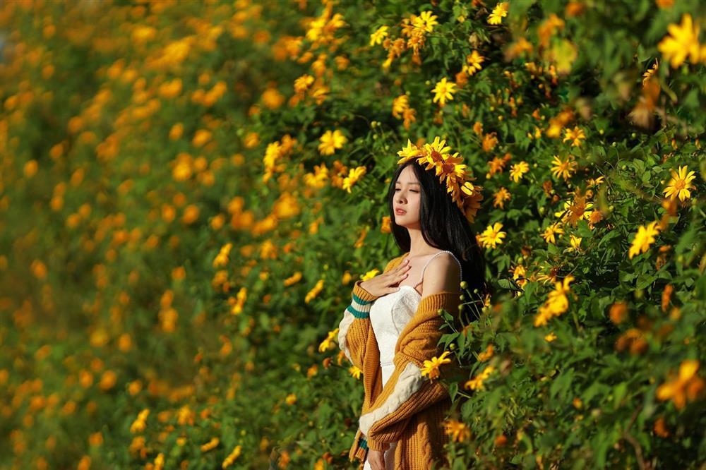 Đồi hoa dã quỳ đẹp điên đảo, được yêu thích nhất tại Đà Lạt năm nay-7