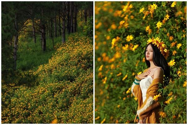 Rộn ràng không khí Giáng sinh tại Mỹ và châu Âu-2