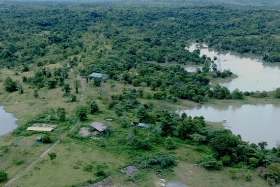 Cán bộ kiểm lâm tử vong trong rừng, trên người có vết đạn