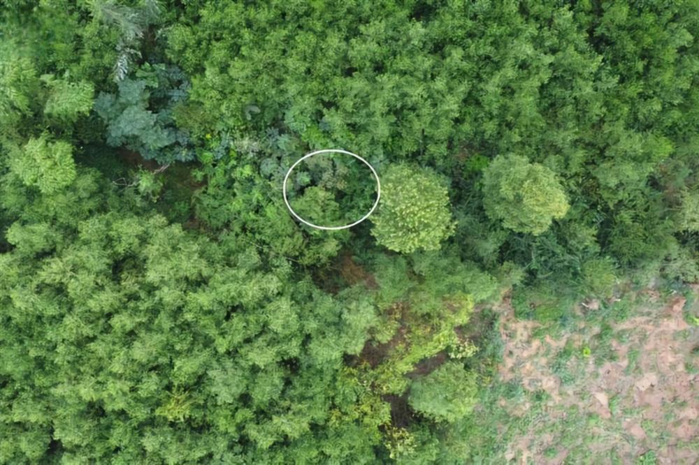 Công an đang điều tra vụ bé trai 2 tuổi mất tích bí ẩn vừa được tìm thấy-2