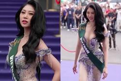 Đại diện nước Việt Nam vấp váp té nhập lễ mừng đón sỹ tử Hoa hậu Trái Đất