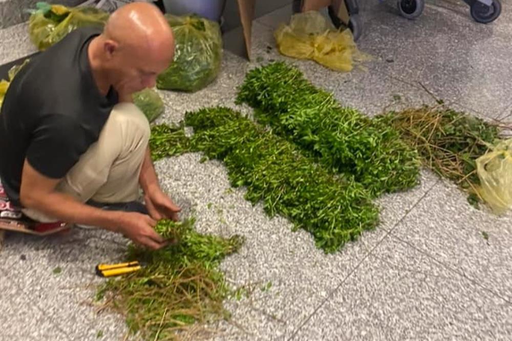 Những ông Tây đến Việt Nam gây sốt vì nhặt rau, cầm vàng mã… ở sân bay-2