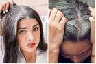 Cần làm gì để ngăn tóc bạc sớm?