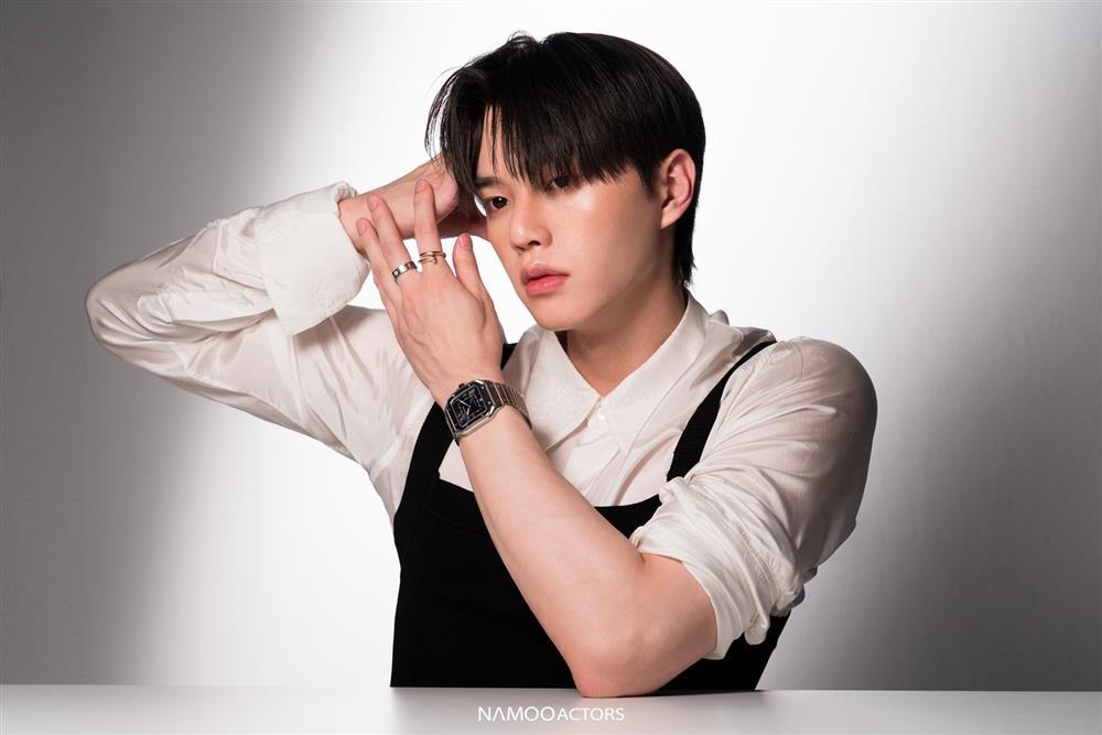 Tài tử Hàn Quốc đẹp trai đến mức được tha thứ dù diễn dở-4