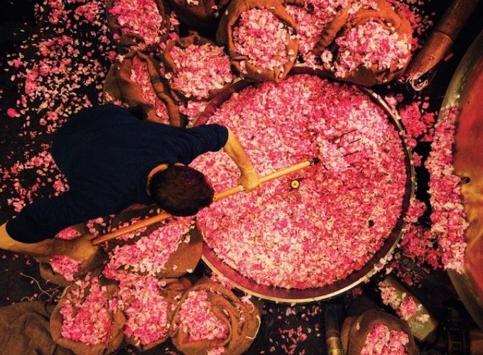 Quy trình sản xuất lọ nước hoa trăm triệu, Marilyn Monroe từng một thời mê đắm-6