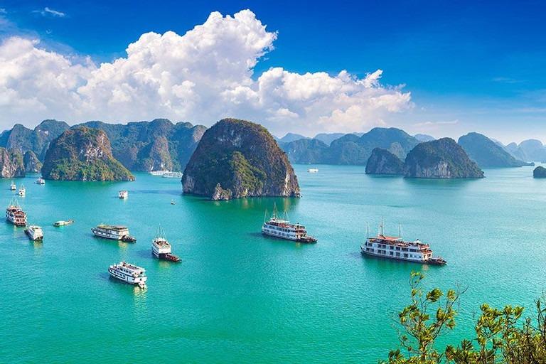 Lý do Việt Nam được chọn là điểm đến lý tưởng cho năm mới 2024-1
