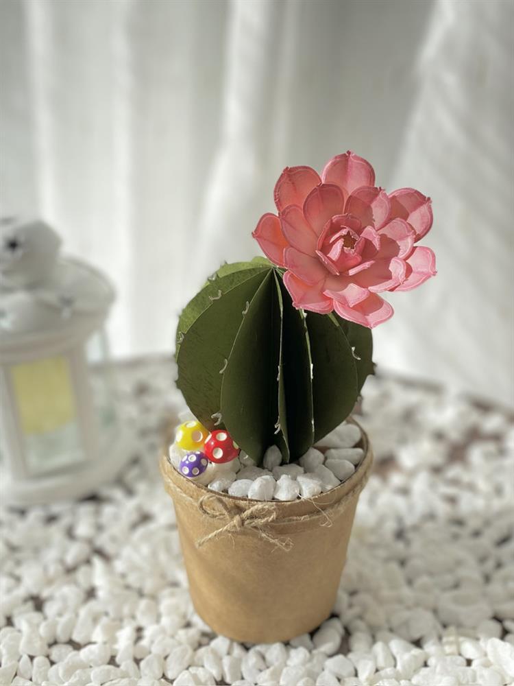 Cô gái 24 tuổi nặng 25kg: Tôi không phải là người dễ bỏ cuộc-4