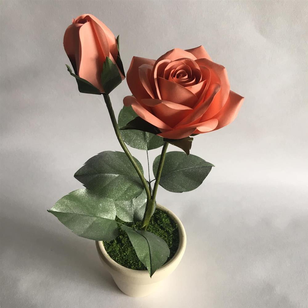 Cô gái 24 tuổi nặng 25kg: Tôi không phải là người dễ bỏ cuộc-8