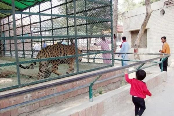 Nhóm du khách làm lật thuyền vì mải chụp ảnh tự sướng trên kênh đào Venice-4