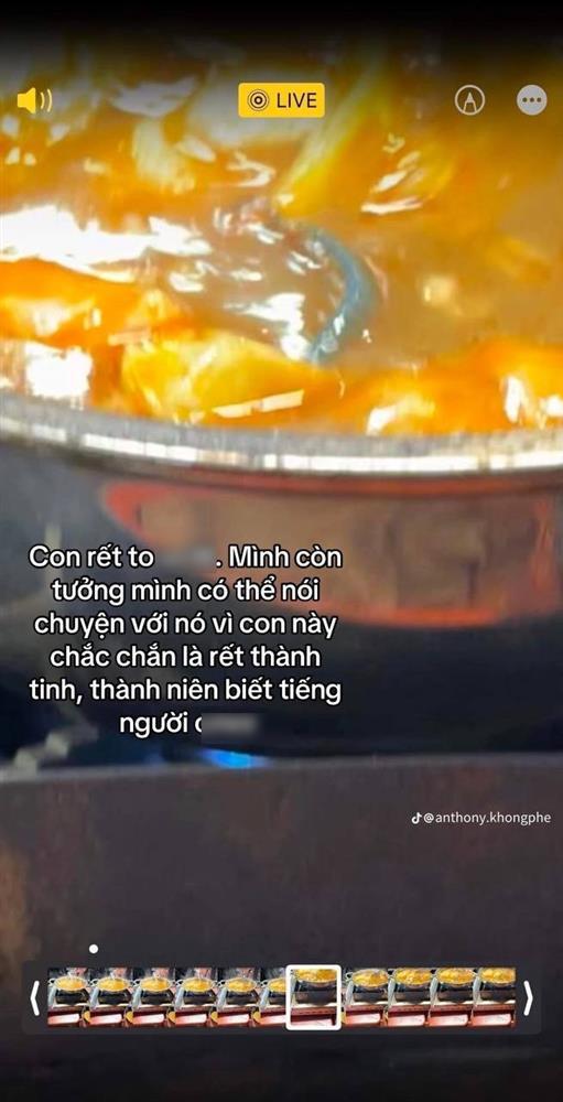 Xôn xao quán vỉa hè nổi tiếng ở Hà Nội bị thực khách phát hiện có rết trong nồi lẩu-3