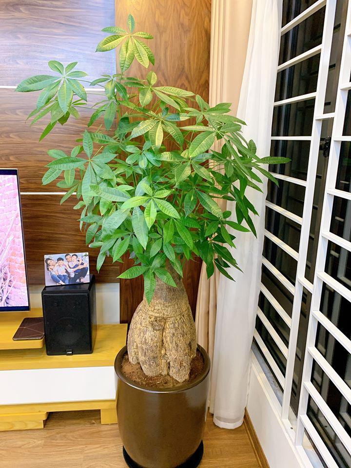 Từ phòng thay đồ lộn xộn thành không gian sáng bừng như store, MC Hoàng Linh khoe nơi ở viên mãn-21