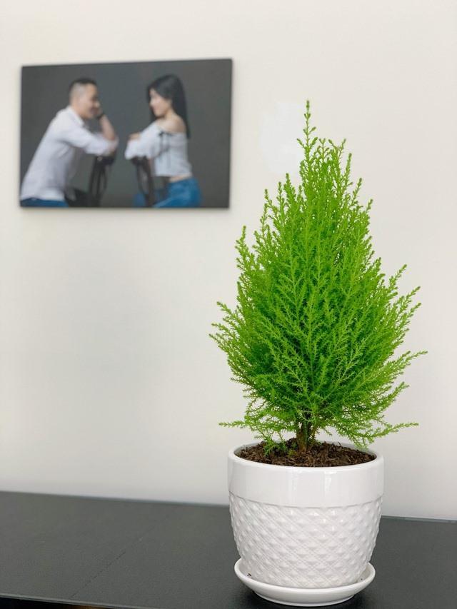 Từ phòng thay đồ lộn xộn thành không gian sáng bừng như store, MC Hoàng Linh khoe nơi ở viên mãn-19