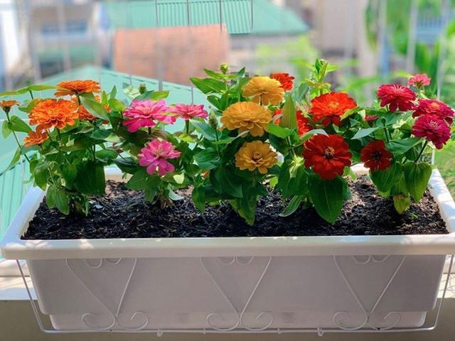 Từ phòng thay đồ lộn xộn thành không gian sáng bừng như store, MC Hoàng Linh khoe nơi ở viên mãn-20