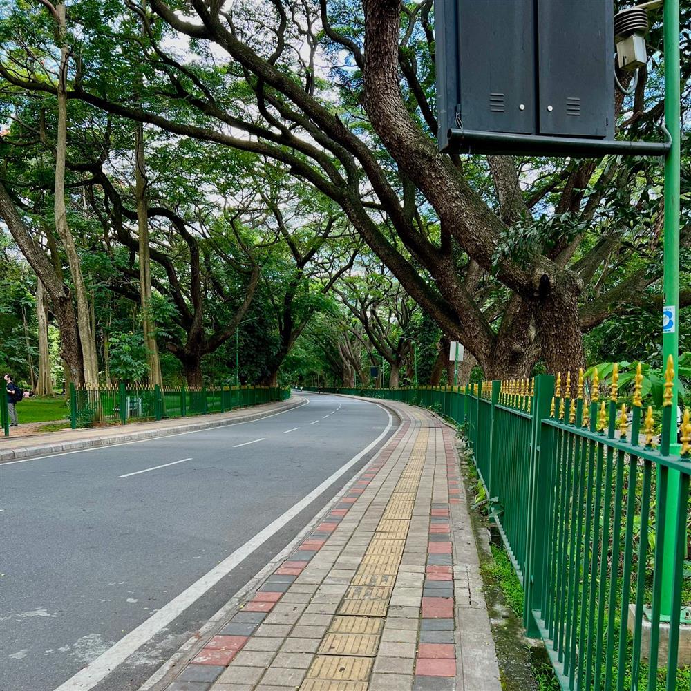 Khách Việt kể điều lạ ở Ấn Độ, đồ ăn hè phố không đáng sợ như lời đồn-3