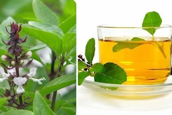 Công dụng chữa bệnh của lá ổi-2