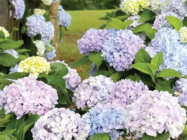 Đúng hôm nay, 3 con giáp tài vận không thông, thành công không đến, hao tiền tốn của-1