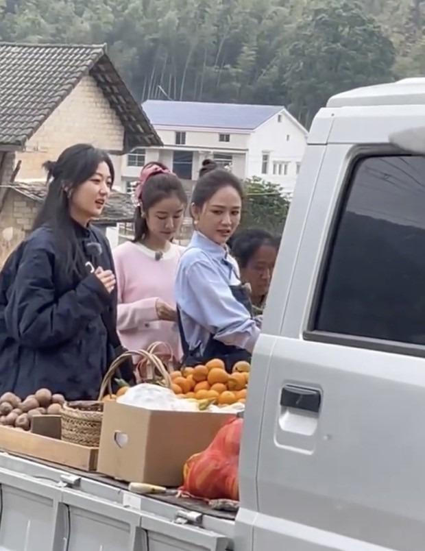 Lâm Tâm Như đụng mặt tình cũ của chồng: Thái độ gây bất ngờ-1