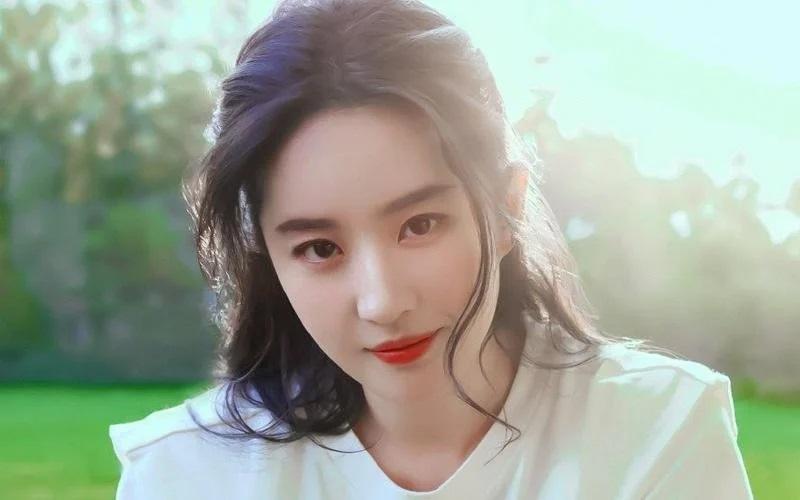 Lưu Diệc Phi tận hưởng cuộc sống phú bà quyền lực tuổi 36, sống độc thân trong biệt thự nghìn tỷ-2