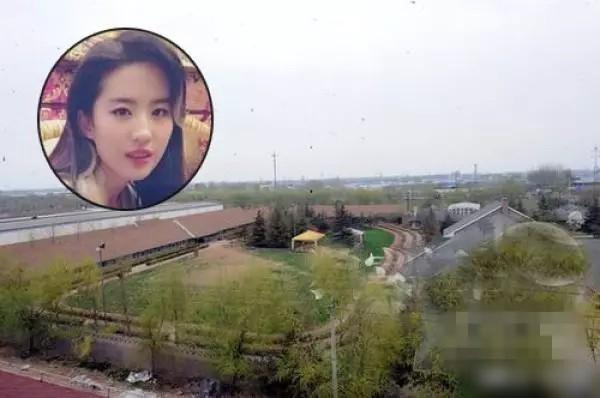 Lưu Diệc Phi tận hưởng cuộc sống phú bà quyền lực tuổi 36, sống độc thân trong biệt thự nghìn tỷ-4