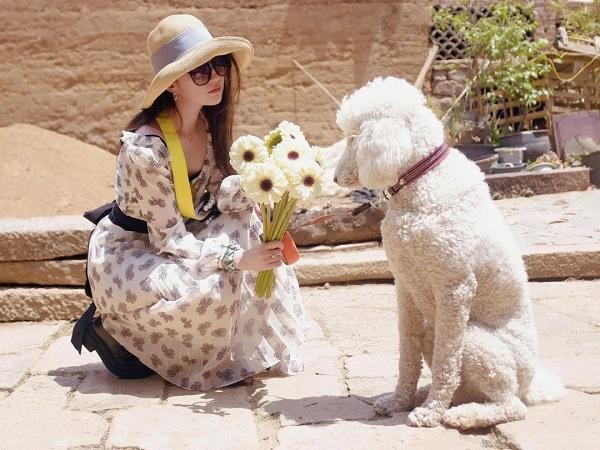 Lưu Diệc Phi tận hưởng cuộc sống phú bà quyền lực tuổi 36, sống độc thân trong biệt thự nghìn tỷ-7