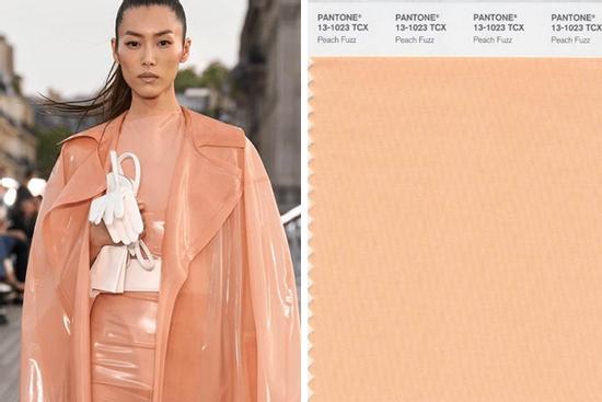 Dân sành mốt là phải biết Màu sắc của năm 2024 theo Pantone