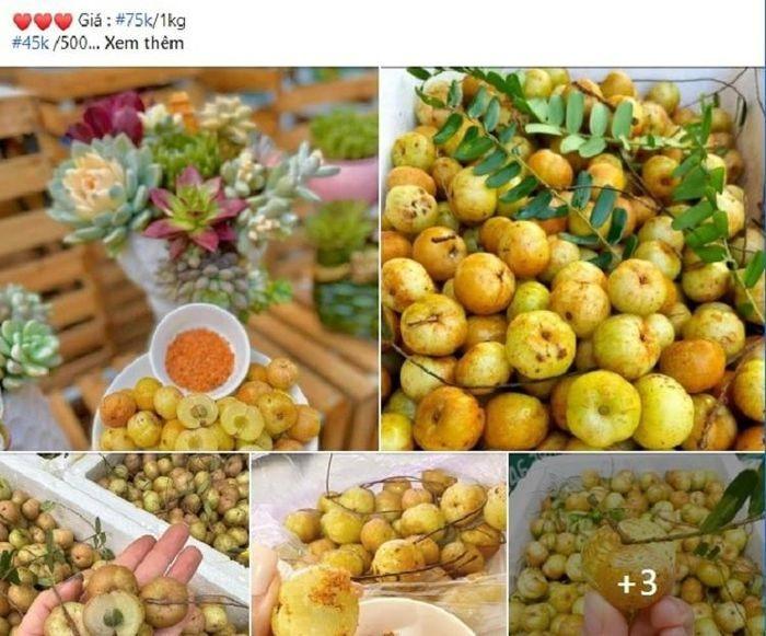 Loại quả khổ trước sướng sau lên cơn sốt: Nguồn gốc ở đâu?-1