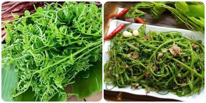 Loại rau được mệnh danh là vua các loài rau cực tốt cho sức khoẻ-1