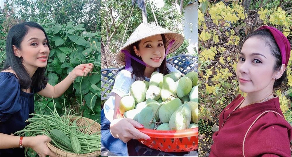 Cuộc sống của Người đẹp Tây Đô sau một năm tuyên bố giải nghệ-5