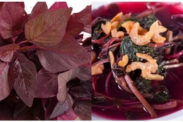 Loại rau rẻ bèo nhưng tốt ngang thịt bò, được ưu ái gọi là rau trường thọ-2