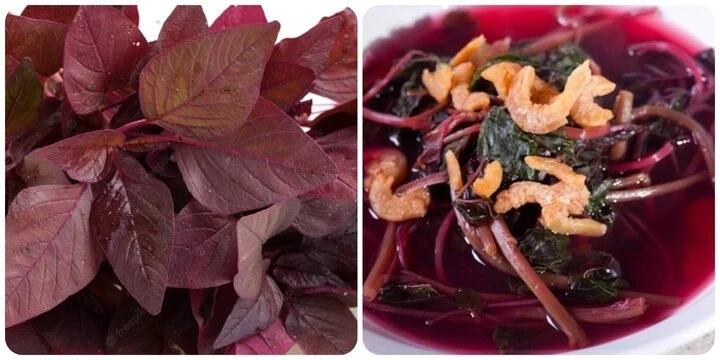 Rau dền đỏ có tác dụng gì với sức khỏe?-1