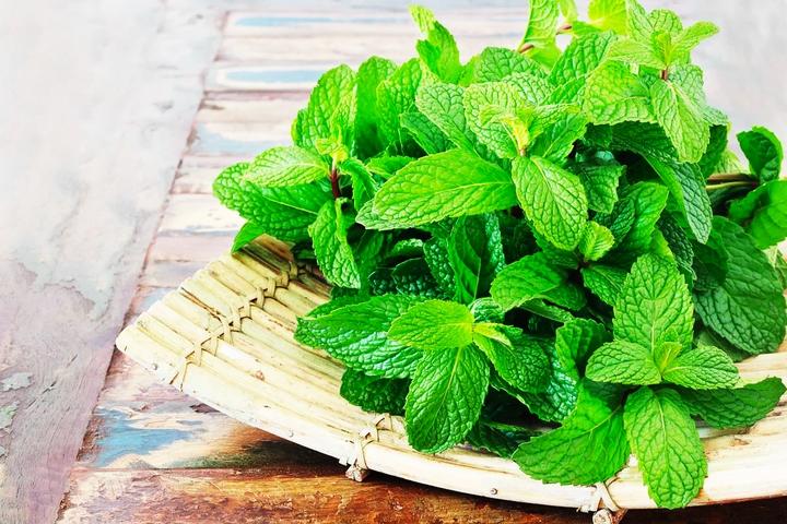 Lợi ích quý giá từ lá bạc hà có thể bạn chưa biết-1