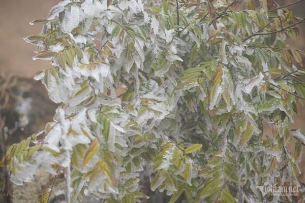 Dự báo thời tiết 15/12/2023: Miền Bắc nắng 31 độ, từ đêm gió mùa tràn về kèm mưa-1