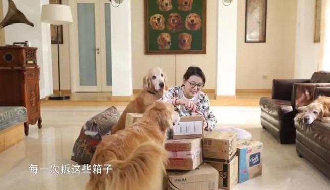 Tranh cãi khối tài sản Châu Hải My để lại-5