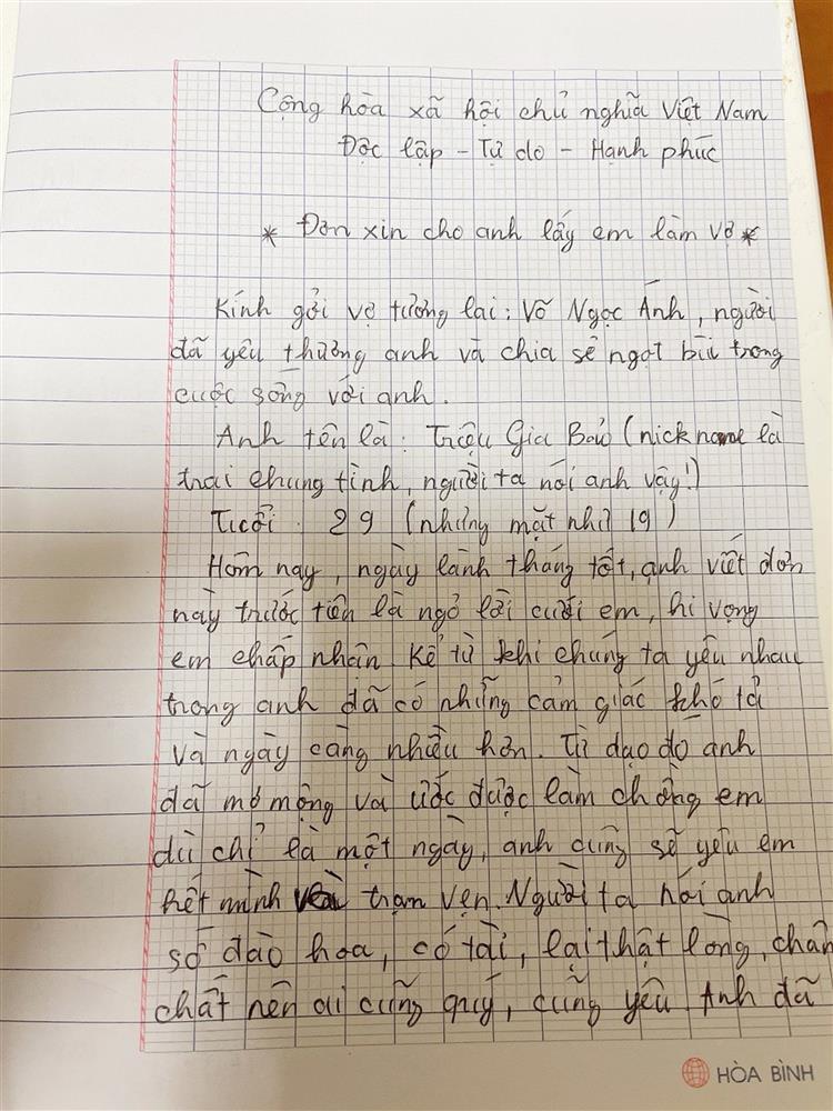 Yêu xa chưa một lần gặp mặt chàng Việt kiều viết đơn nằng nặc xin cưới vợ-3