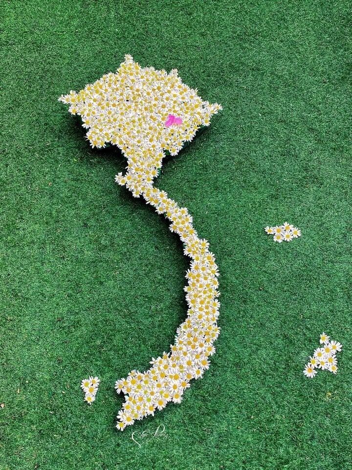 Cô giáo Hà Nội làm bản đồ Việt Nam bằng cúc họa mi gây sốt mạng-1