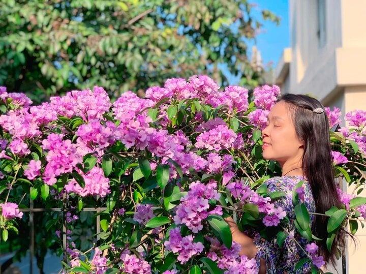 Cô giáo Hà Nội làm bản đồ Việt Nam bằng cúc họa mi gây sốt mạng-15