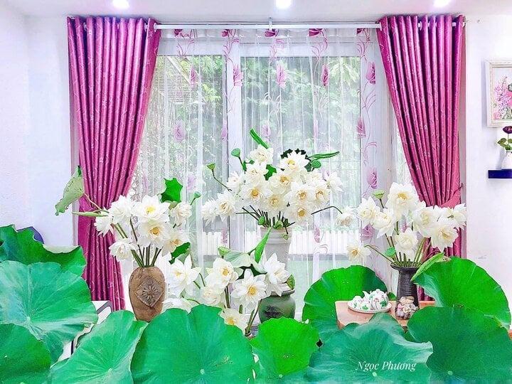 Cô giáo Hà Nội làm bản đồ Việt Nam bằng cúc họa mi gây sốt mạng-17