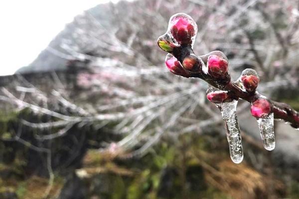 Sập nhà do mưa lớn, bé 5 tuổi tử vong ở Hà Giang-2