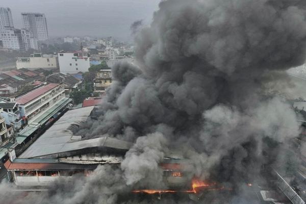 Đôi hạc trên bàn thờ nên quay vào nhau hay quay ra ngoài?-4