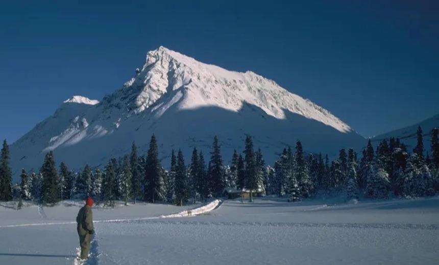 Robinson ngoài đời thực: Một mình sinh sống nơi hoang dã suốt 30 năm trước khi ra đi ở tuổi 83-8