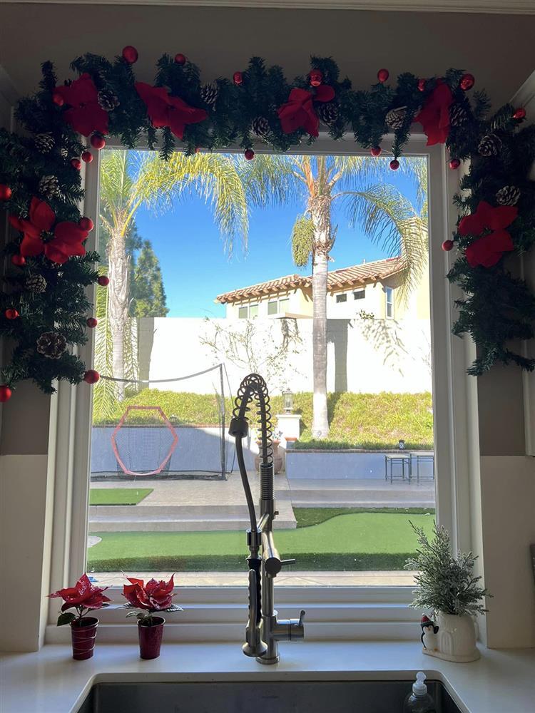 Biệt thự 2.000 m2 tại Mỹ đón Noel ấn tượng của ca sĩ Thanh Thảo-4