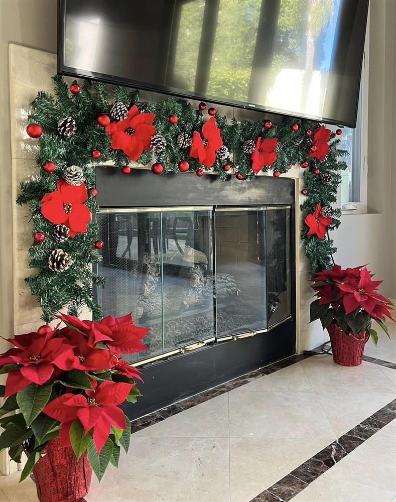 Biệt thự 2.000 m2 tại Mỹ đón Noel ấn tượng của ca sĩ Thanh Thảo-5