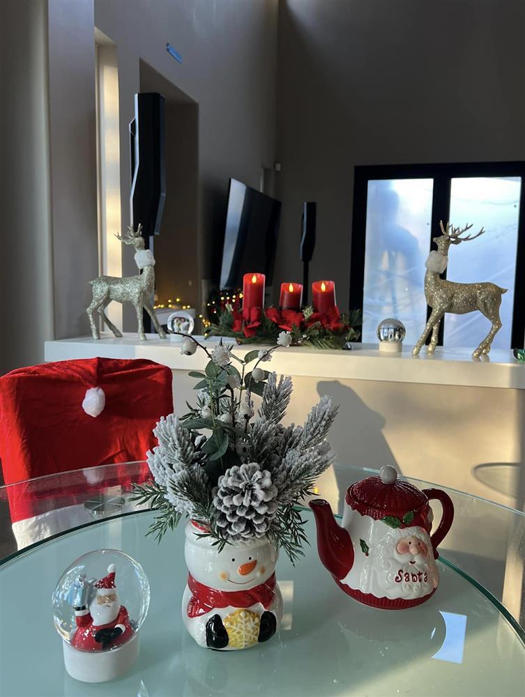 Biệt thự 2.000 m2 tại Mỹ đón Noel ấn tượng của ca sĩ Thanh Thảo-6