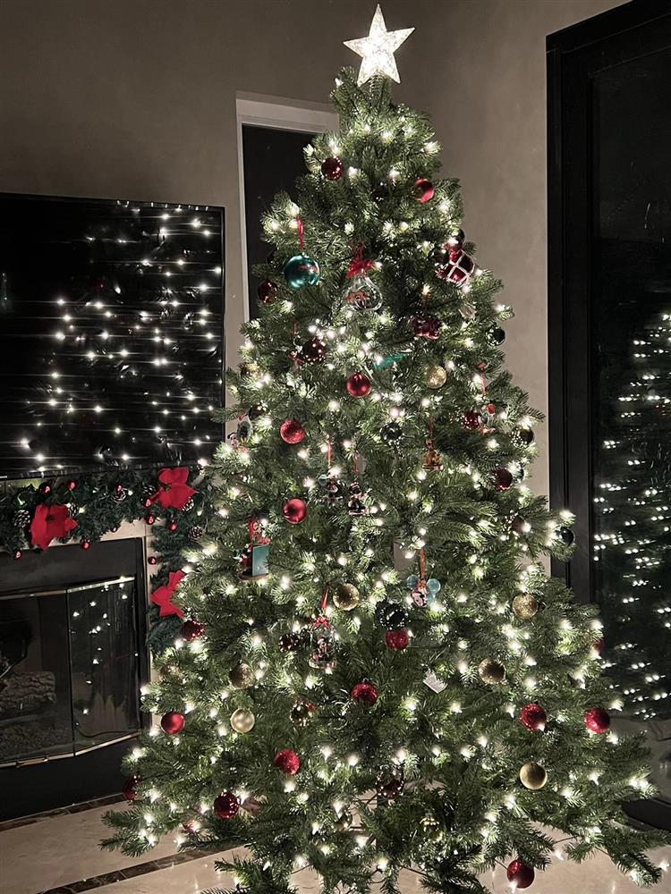 Biệt thự 2.000 m2 tại Mỹ đón Noel ấn tượng của ca sĩ Thanh Thảo-9