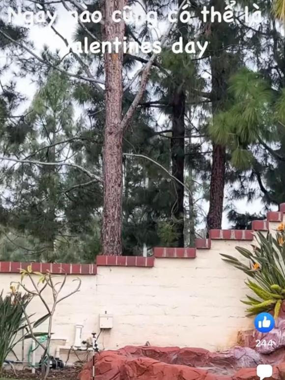 Biệt thự 2.000 m2 tại Mỹ đón Noel ấn tượng của ca sĩ Thanh Thảo-15