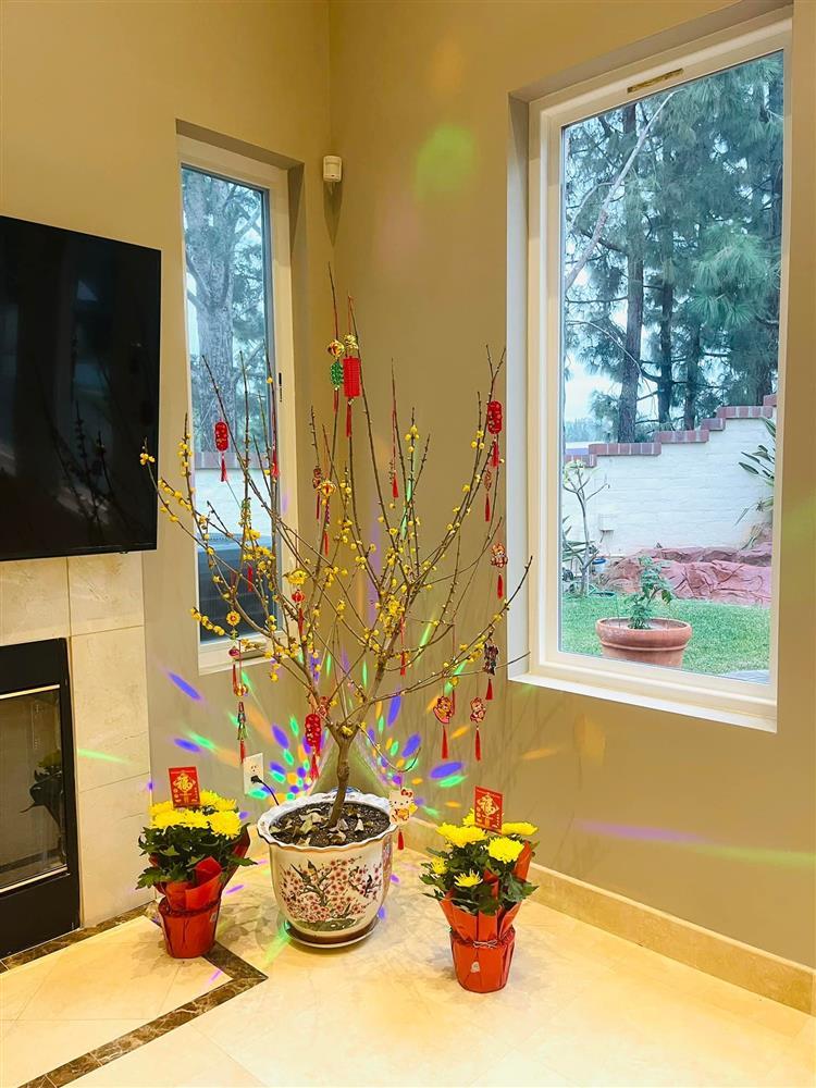 Biệt thự 2.000 m2 tại Mỹ đón Noel ấn tượng của ca sĩ Thanh Thảo-18