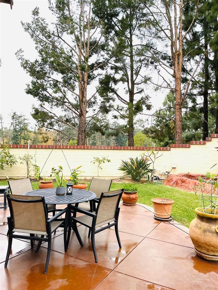 Biệt thự 2.000 m2 tại Mỹ đón Noel ấn tượng của ca sĩ Thanh Thảo-20