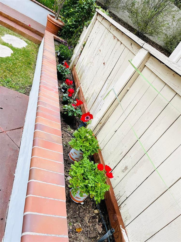 Biệt thự 2.000 m2 tại Mỹ đón Noel ấn tượng của ca sĩ Thanh Thảo-23