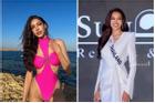 Phong cách gợi cảm và dáng vóc nóng bỏng của Hoa hậu Liên lục địa 2023